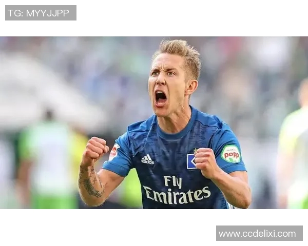 比勒菲尔德与汉堡2019年对决回顾及赛季表现分析