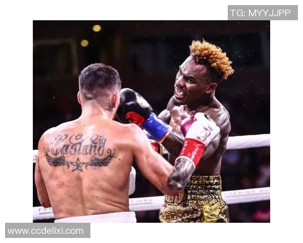 大查洛与克罗的巅峰对决谁将成为拳坛新王者 大查洛与克罗的巅峰对决谁将成为拳坛新王者