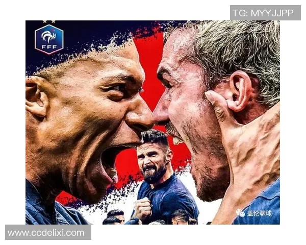 法国与爱尔兰激战正酣最终结果揭晓引发热议