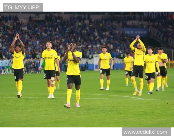 青岛西海岸足球比赛直播精彩瞬间回顾与赛程安排全解析